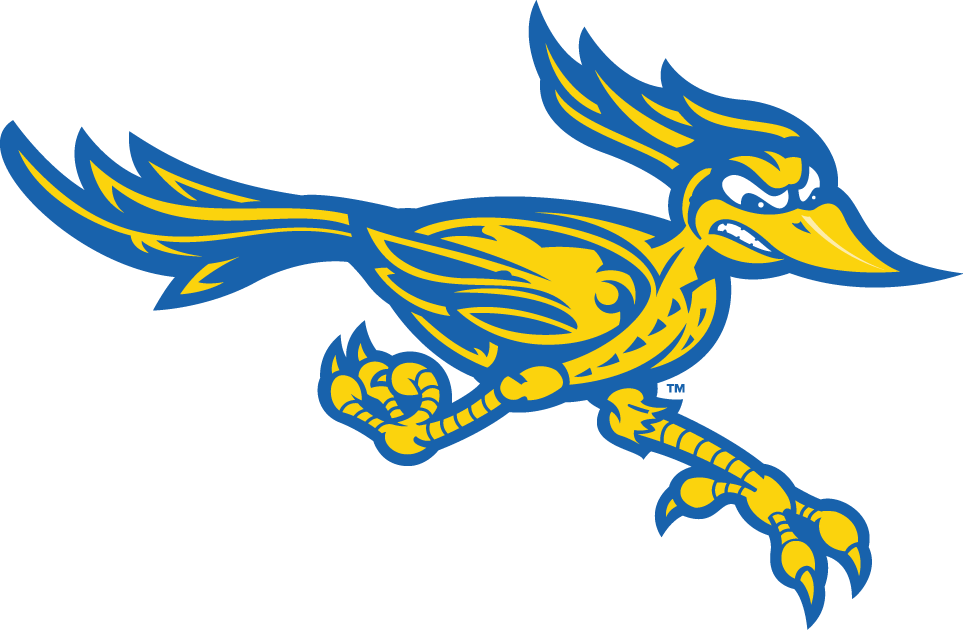 CSU Bakersfield Roadrunners 2006-Pres Alternate Logo v2 diy iron on heat transfer